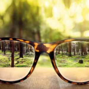 seeing-straight-article