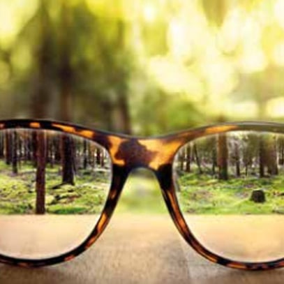 seeing-straight-article