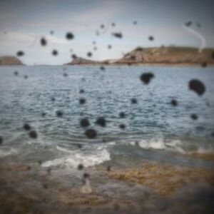 floaters dark spots