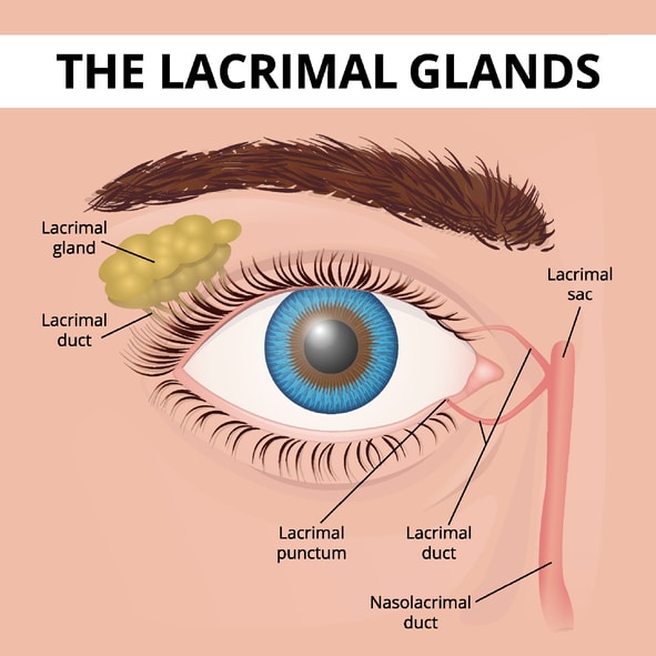 human eye Nasolacrimal Duct Obstruction Singapore