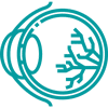 Eye Ball - Icon