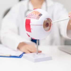 Diabetic retinopathy Treatment in Singapore: A stage-by-stage guide - Eye Max Centre